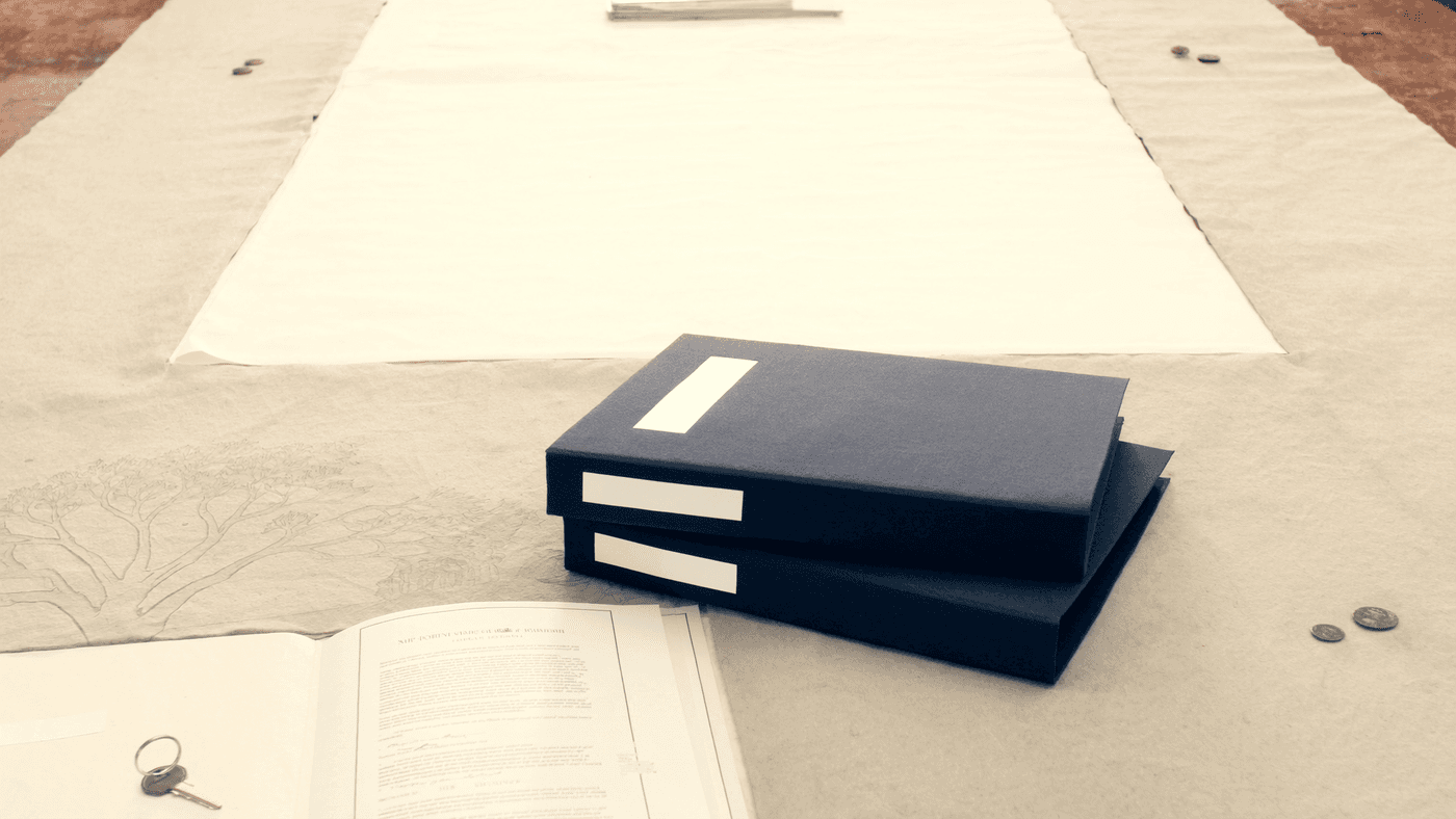 Dossiers de planification successorale avec un arbre familial qui pousse à partir d’un document juridique